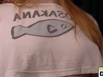 kattikiss