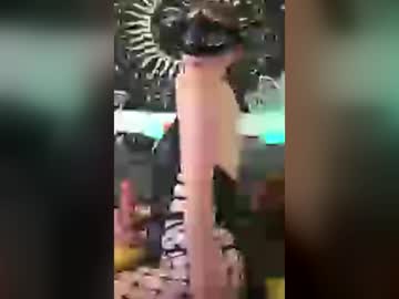 snowietheleopar